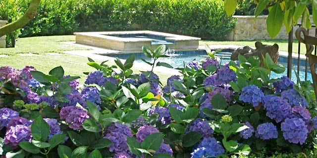 Another View of the back patio. 