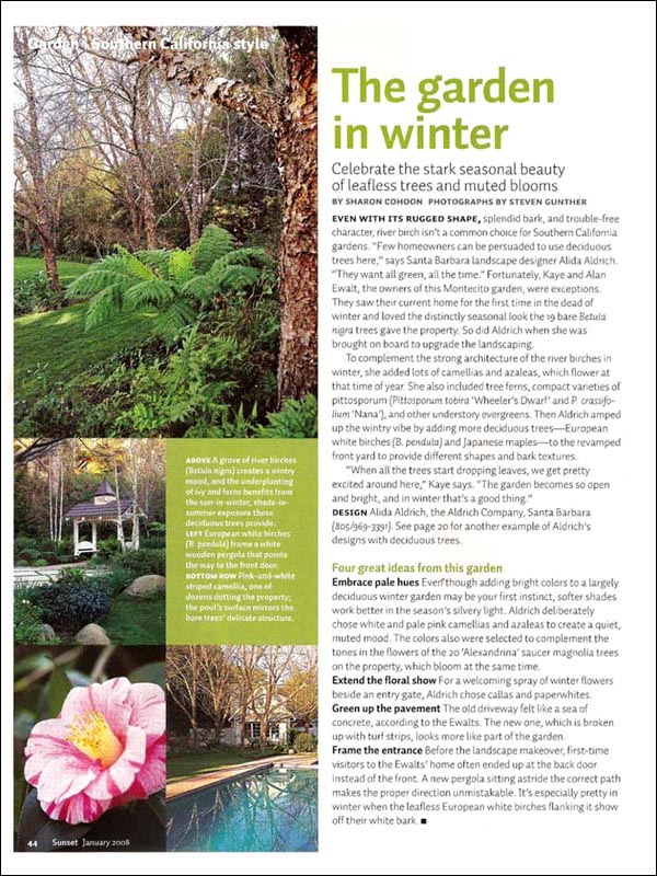 sunset feature article 2008