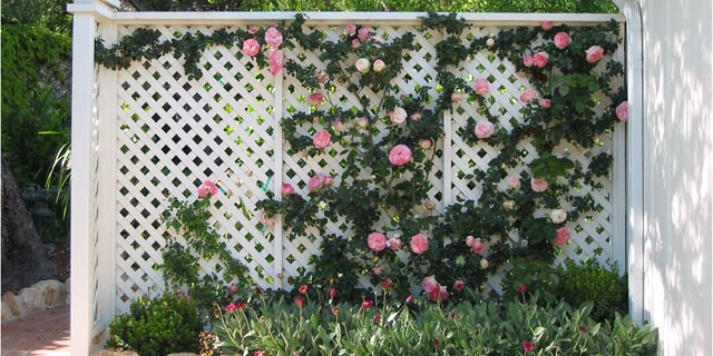 Sculture in the Garden design